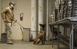 Military_working_dogs_sniff_out_narcotics_explosives and unmasking drugs