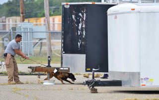 handler holding leash of k9 conducting search, illustrating why security companies send their handlers for training