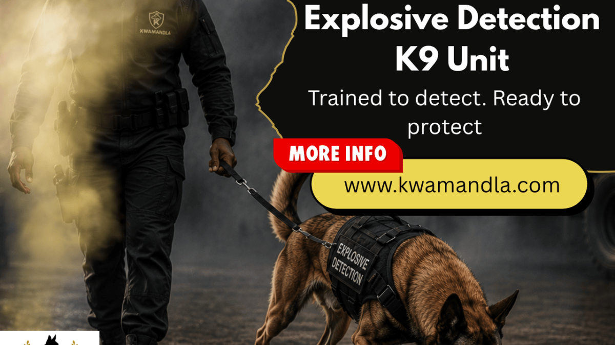 Explosive detection dog with handler, Kwamandla K9 Unit