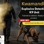 Explosive detection dog with handler, Kwamandla K9 Unit
