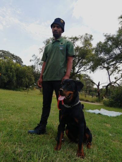 Man and Rottweiler dog in a park