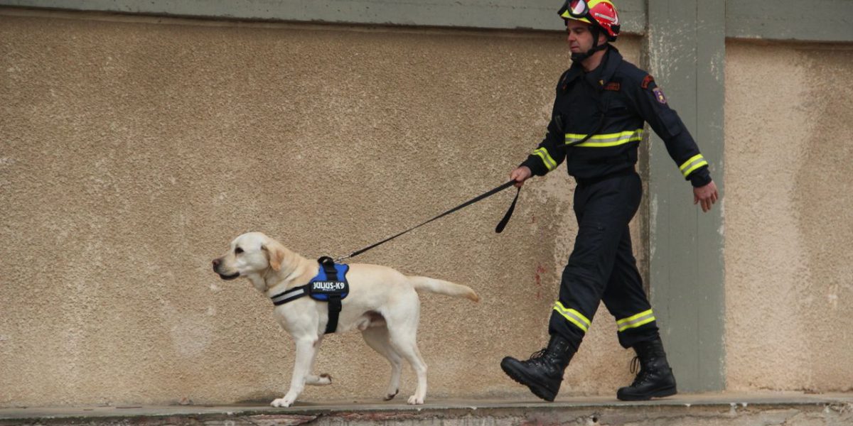 Firefighter with a K9 detection dog on a leash walking along a building wall