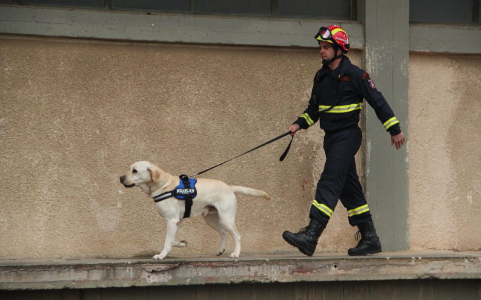 Firefighter with a K9 detection dog on a leash walking along a building wall