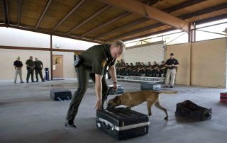 K9 currency detection illustrated by U.S_Customs__Border_Protection_Border_Patrol_Agent_and_K9_Training_Session
