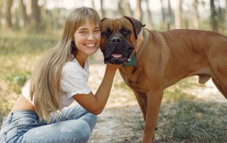 7 essential tips for raising a boerboel illlustrated by a women in a sunlit forest with her boerboel
